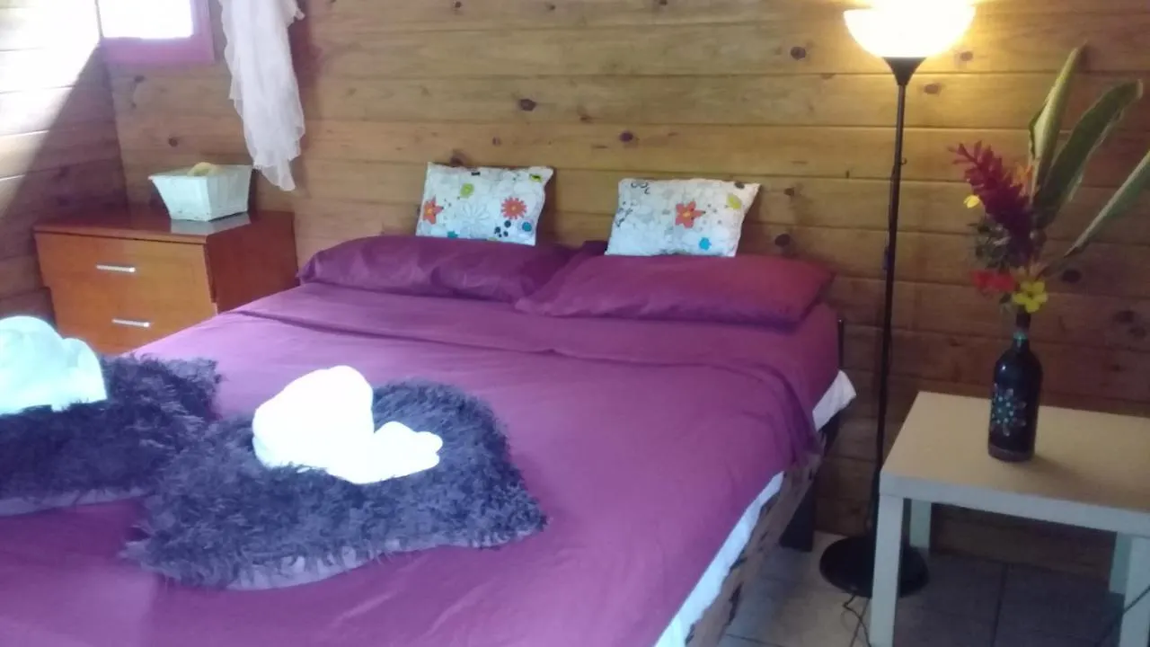 山林小屋 3河流生态山林小屋 Rosalie