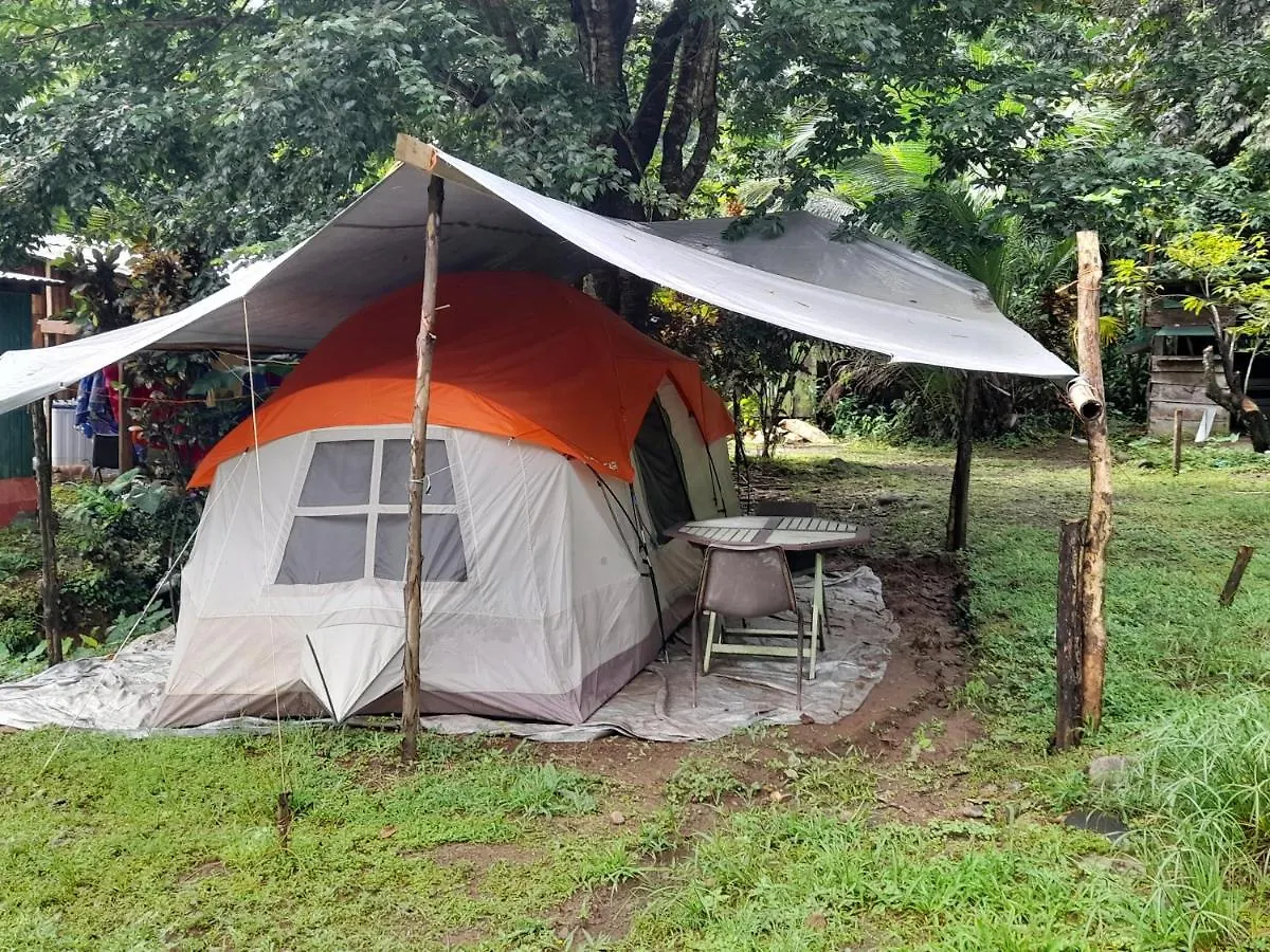 山林小屋 3河流生态山林小屋 Rosalie