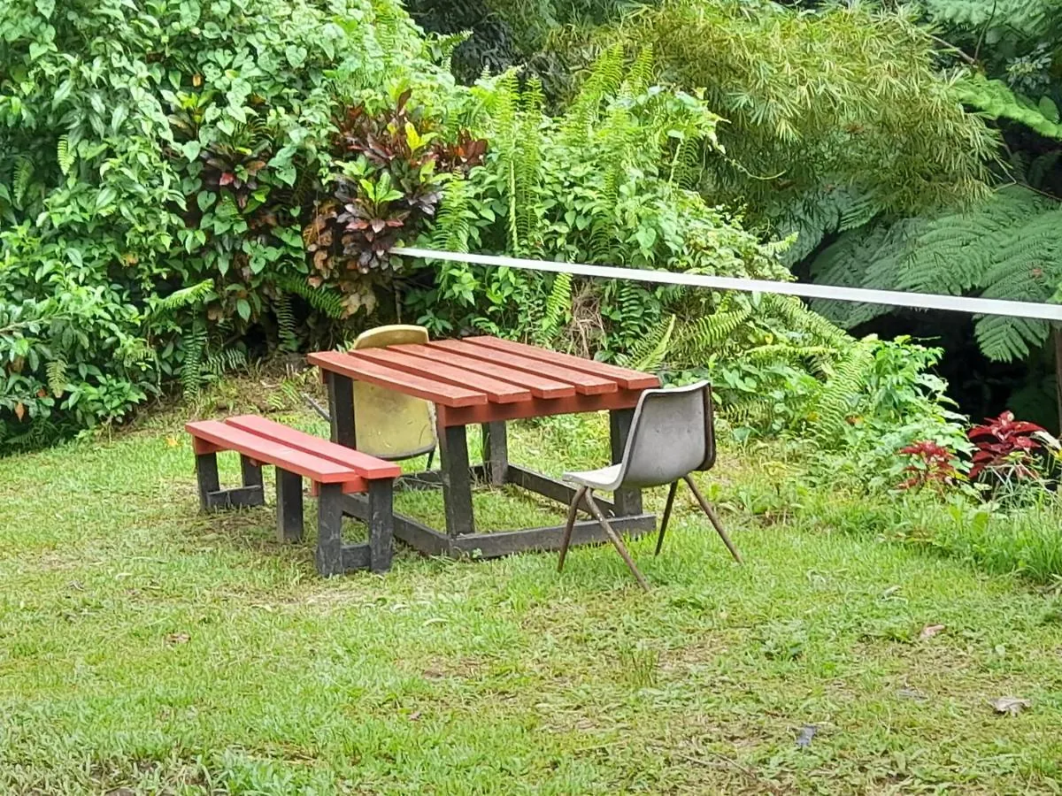 山林小屋 3河流生态山林小屋 Rosalie