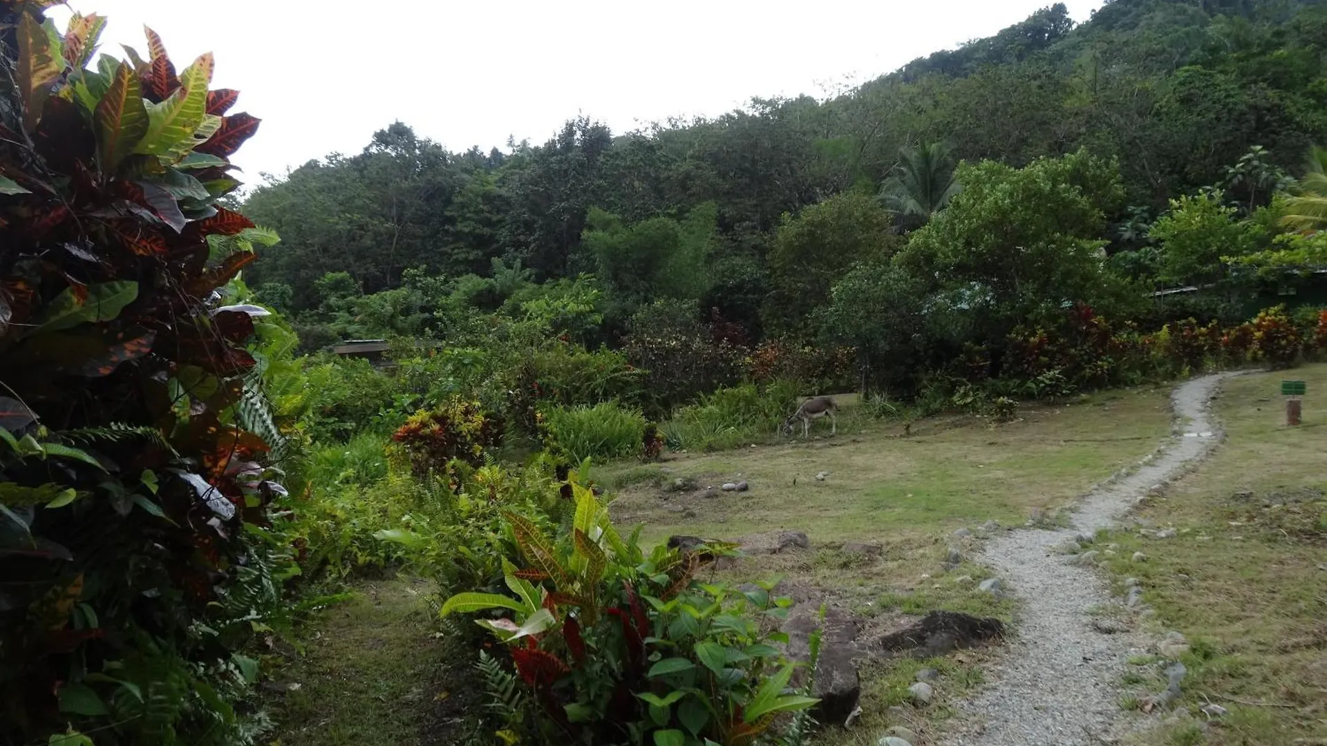 3河流生态山林小屋 Rosalie 0*,  多米尼克