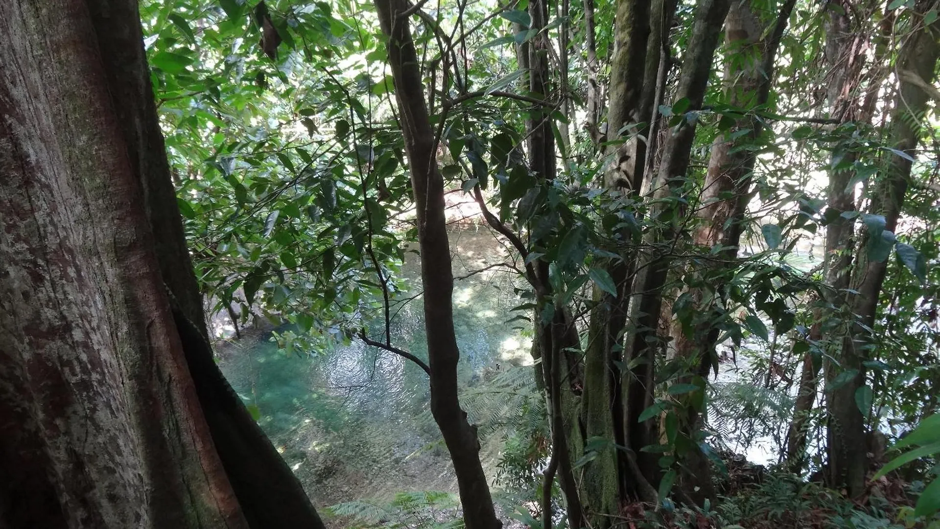 3河流生态山林小屋 Rosalie