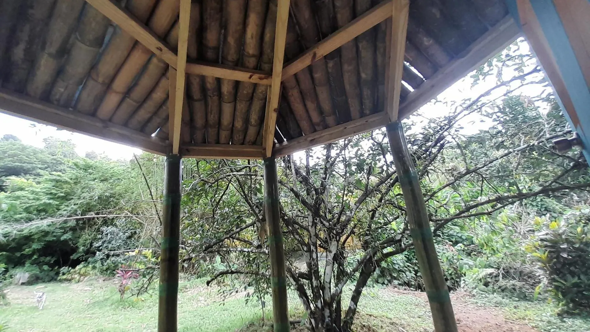 3河流生态山林小屋 Rosalie 0*,  多米尼克