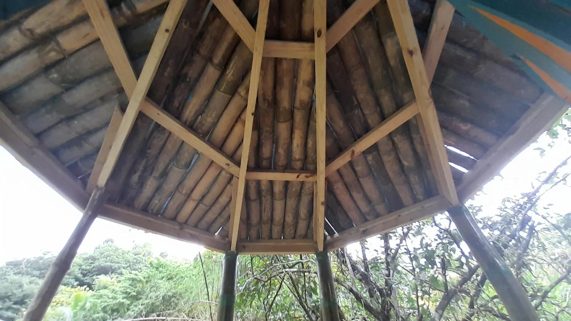 3河流生态山林小屋 Rosalie