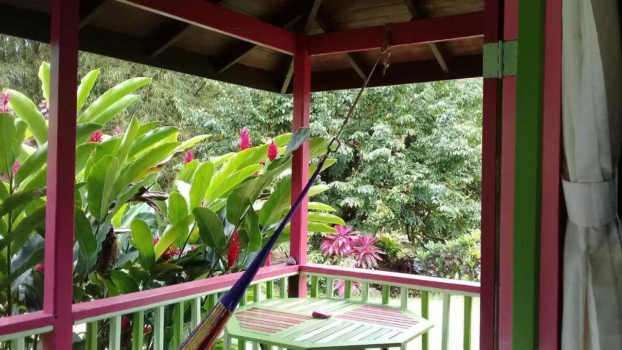 3 Rivers Eco Lodge Rosalie 0*,